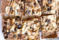 Frozen Yogurt Bark Treats