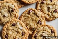 Chococonut Chip Cookie Bliss