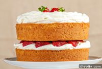 Fluffy Sponge Cake Recipe