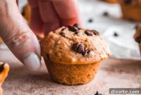 Easy Mini Chocolate Chip Muffins