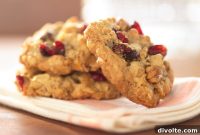 Irresistible Cranberry Nut Oatmeal Cookies