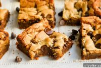 Delicious Chocolate Chip Blondies