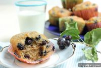 Wholesome Saskatoon Berry Oat Muffins