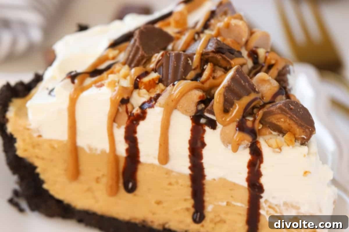 Irresistible Peanut Butter Pie 2 peanut-butter-pie-recipe