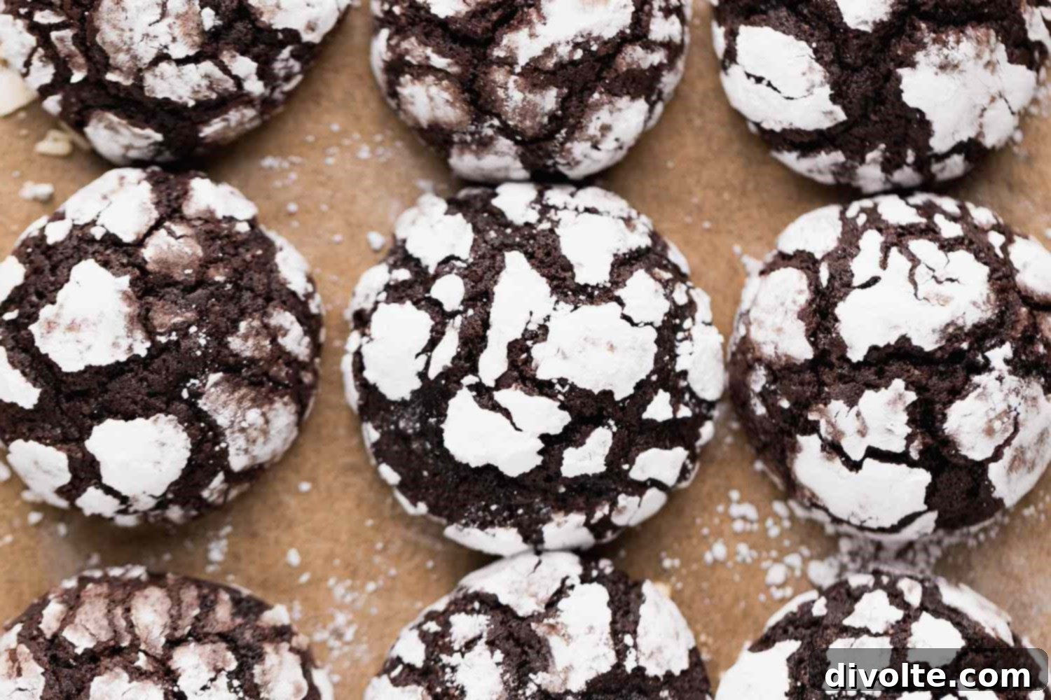 Decadent Chocolate Crinkles 2 Fudgy homemade chocolate crinkle cookies with powdered sugar