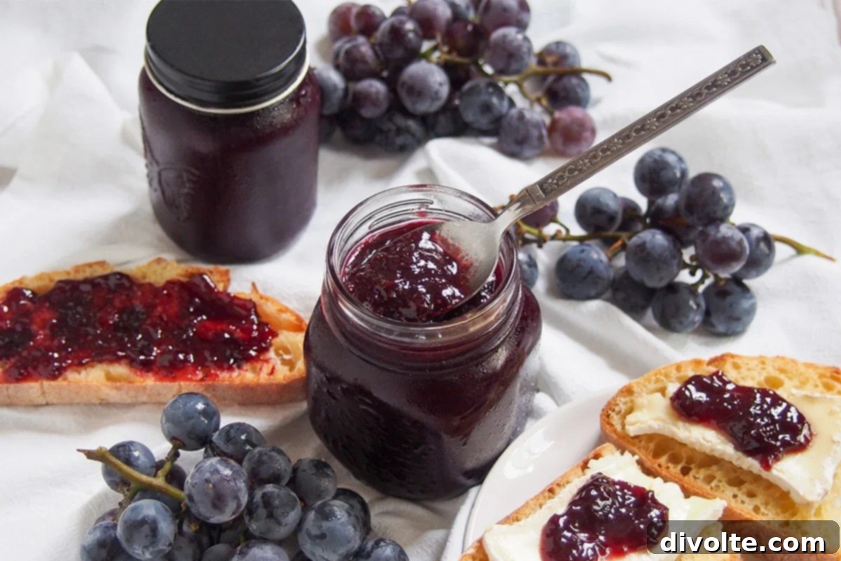 Delicious Homemade Concord Grape Jelly 3 concord-grape-jelly-recipe