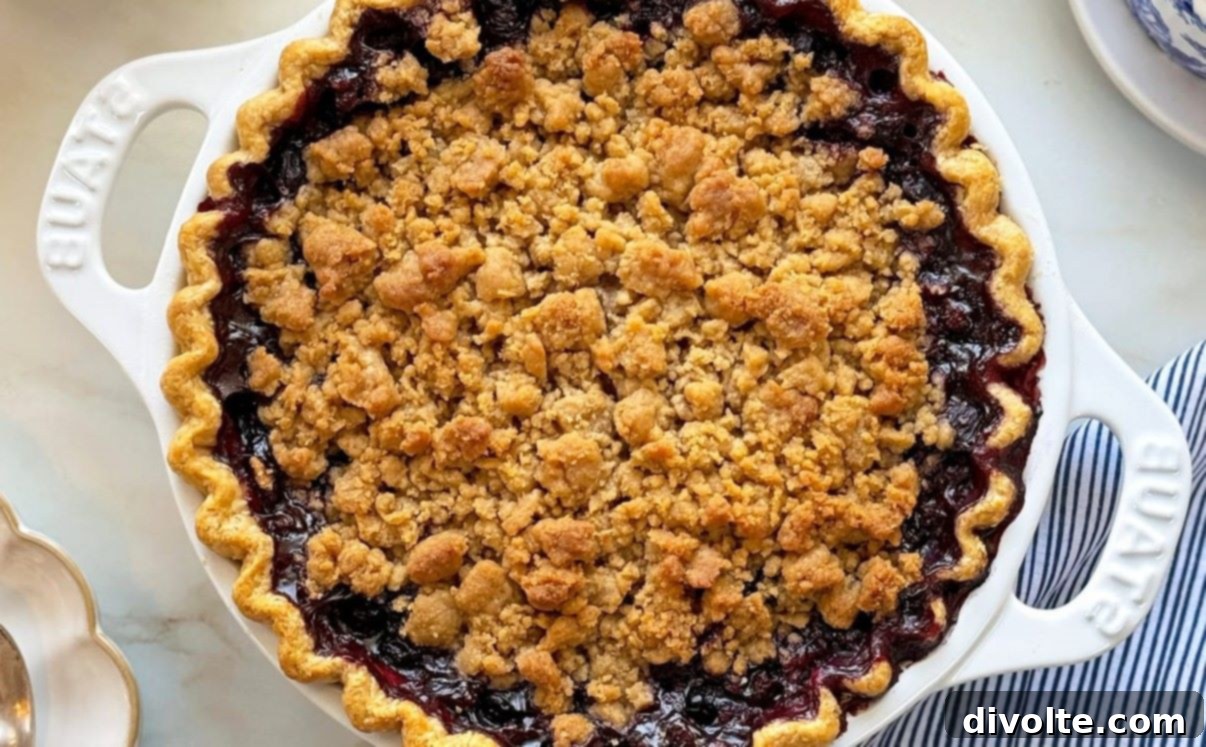Classic Blueberry Crumb Pie 2 blueberry-crumb-pie-recipe