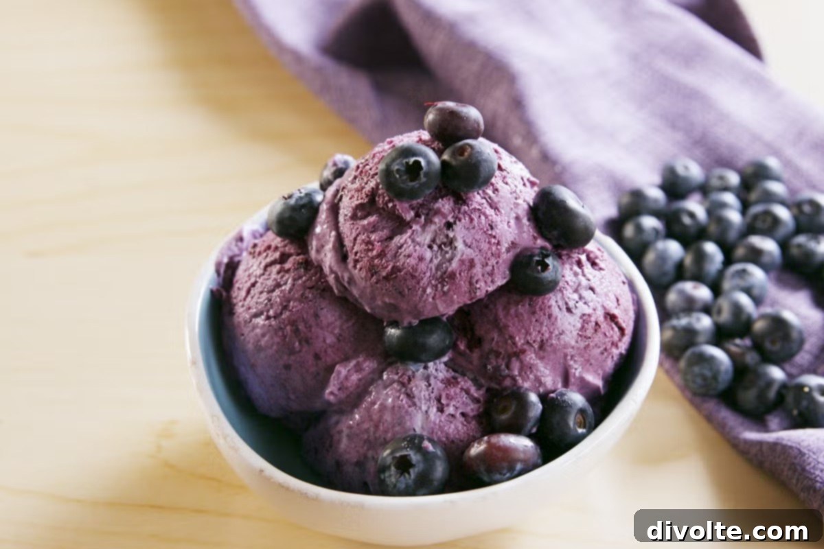 Homemade Blueberry Bliss 2 homemade-blueberry-ice-cream-recipe