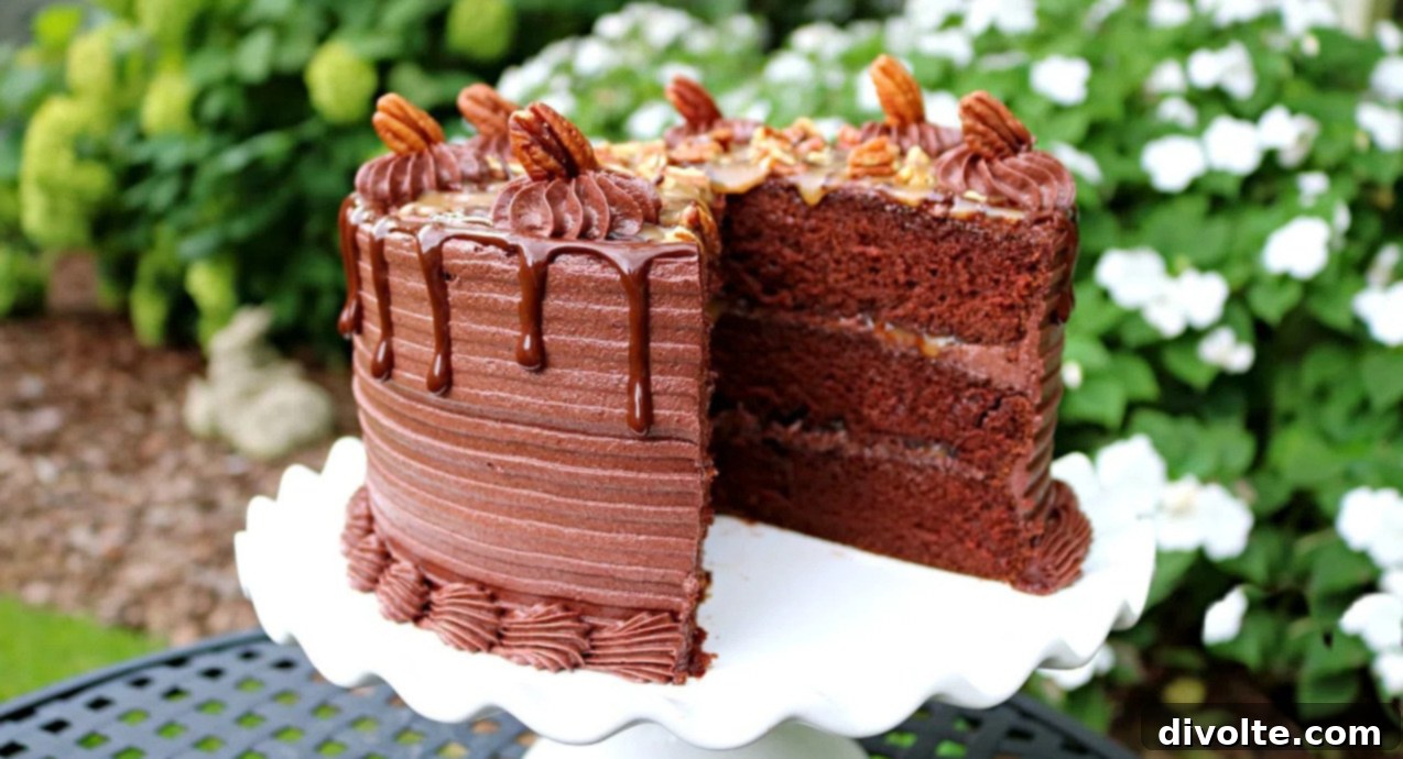 turtles-cake-recipe