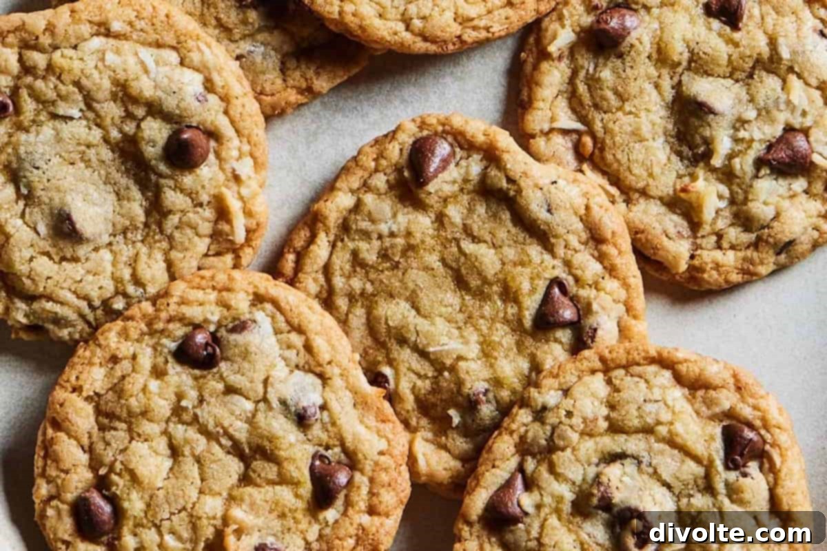 Chococonut Chip Cookie Bliss 2 chococonut-chip-cookies-recipe