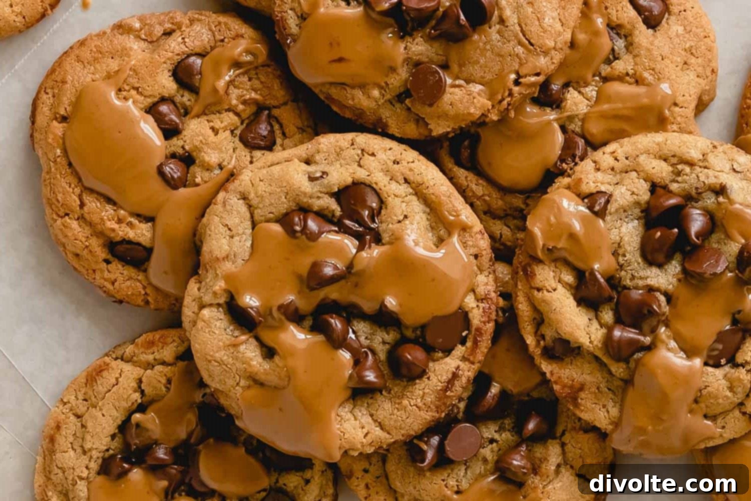 Irresistible Cookie Butter Cookies 2 cookie-butter-cookies-recipe - Perfectly baked, chewy cookie butter cookies on a cooling rack, ready to be enjoyed.
