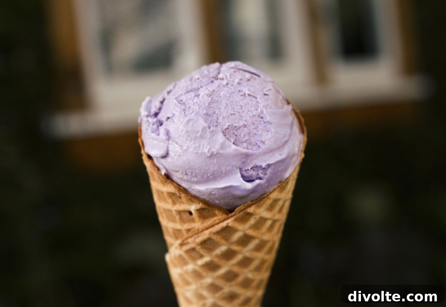 Creamy homemade lavender honey ice cream with fresh lavender sprigs and a drizzle of honey