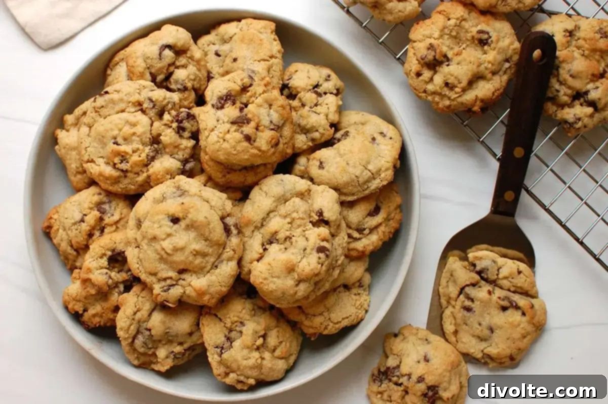 Soft and Chewy Chocolate Chip Oatmeal Cookies 2 Delicious and chewy chocolate chip oatmeal cookies recipe with golden edges