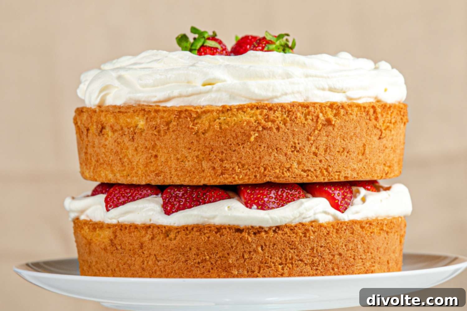 sponge-cake-recipe