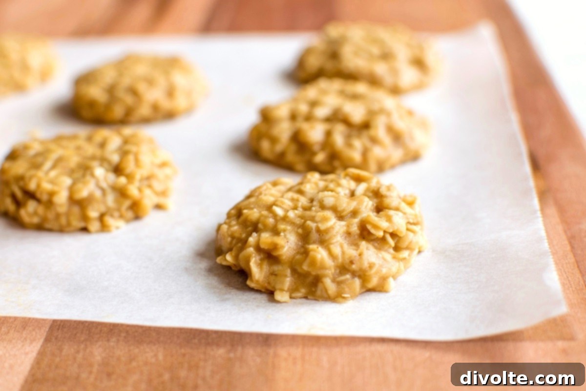 no-bake-peanut-butter-cookies-recipe