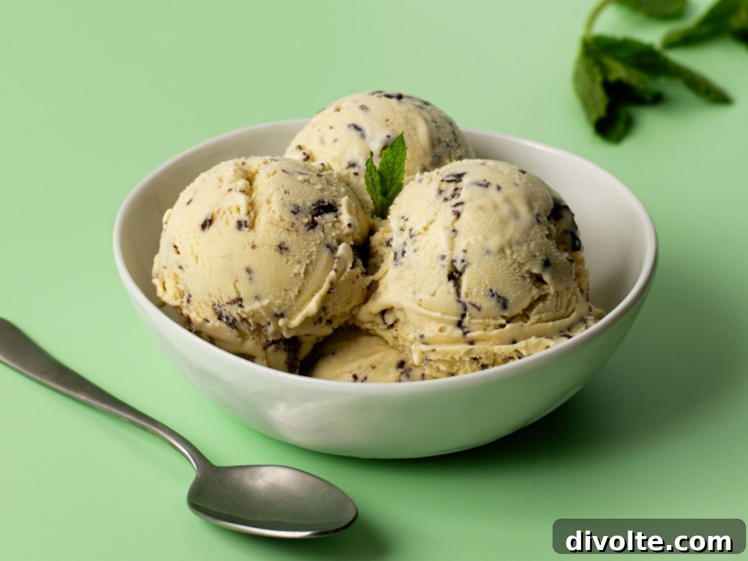 Refreshing Homemade Mint Chocolate Chip Ice Cream 2 mint-chocolate-chip-ice-cream-recipe