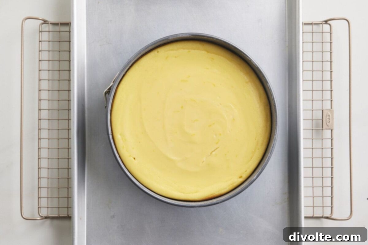 italian-cream-cheese-and-ricotta-cheesecake-recipe