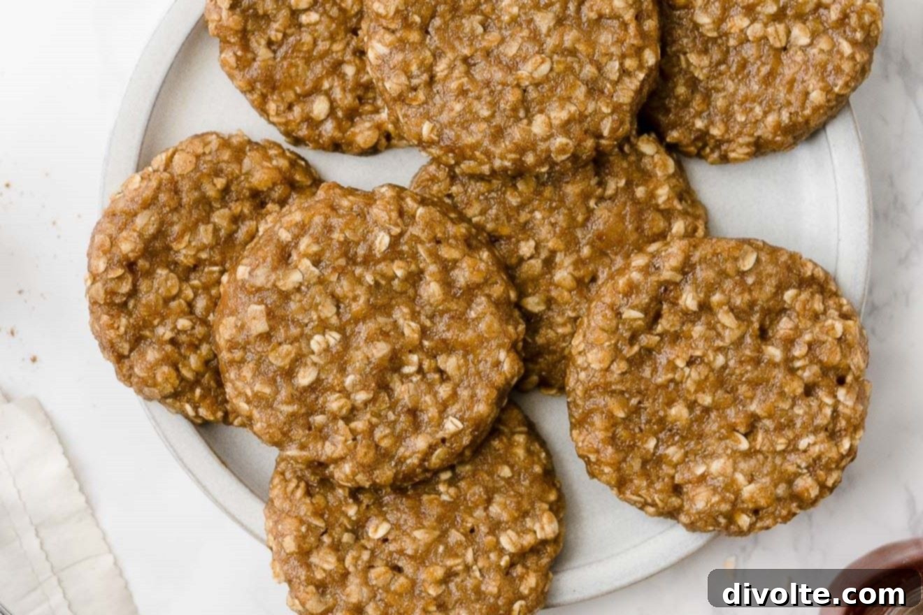 healthy banana oat cookies recipe with chocolate chips