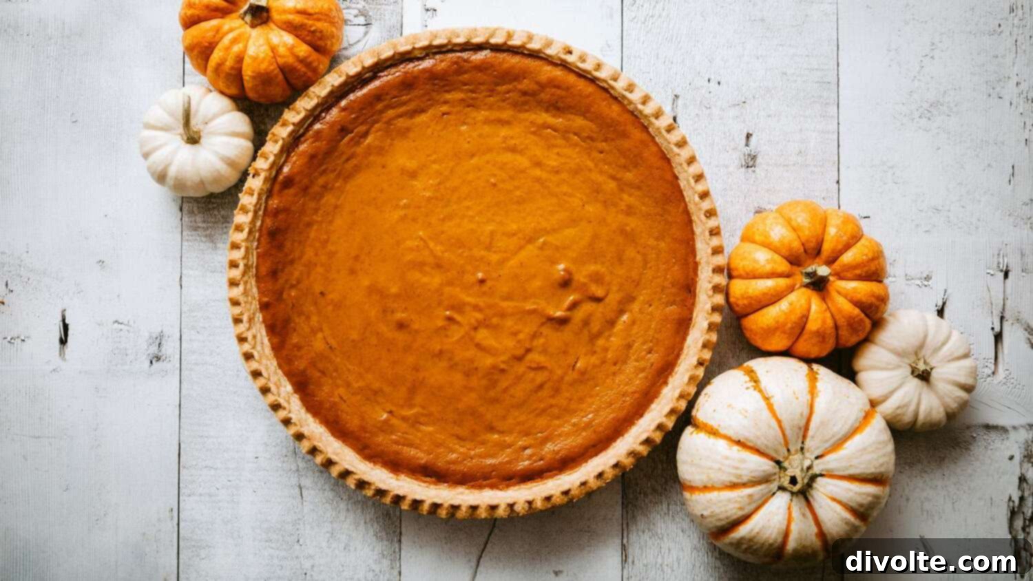 fresh-pumpkin-pie-recipe