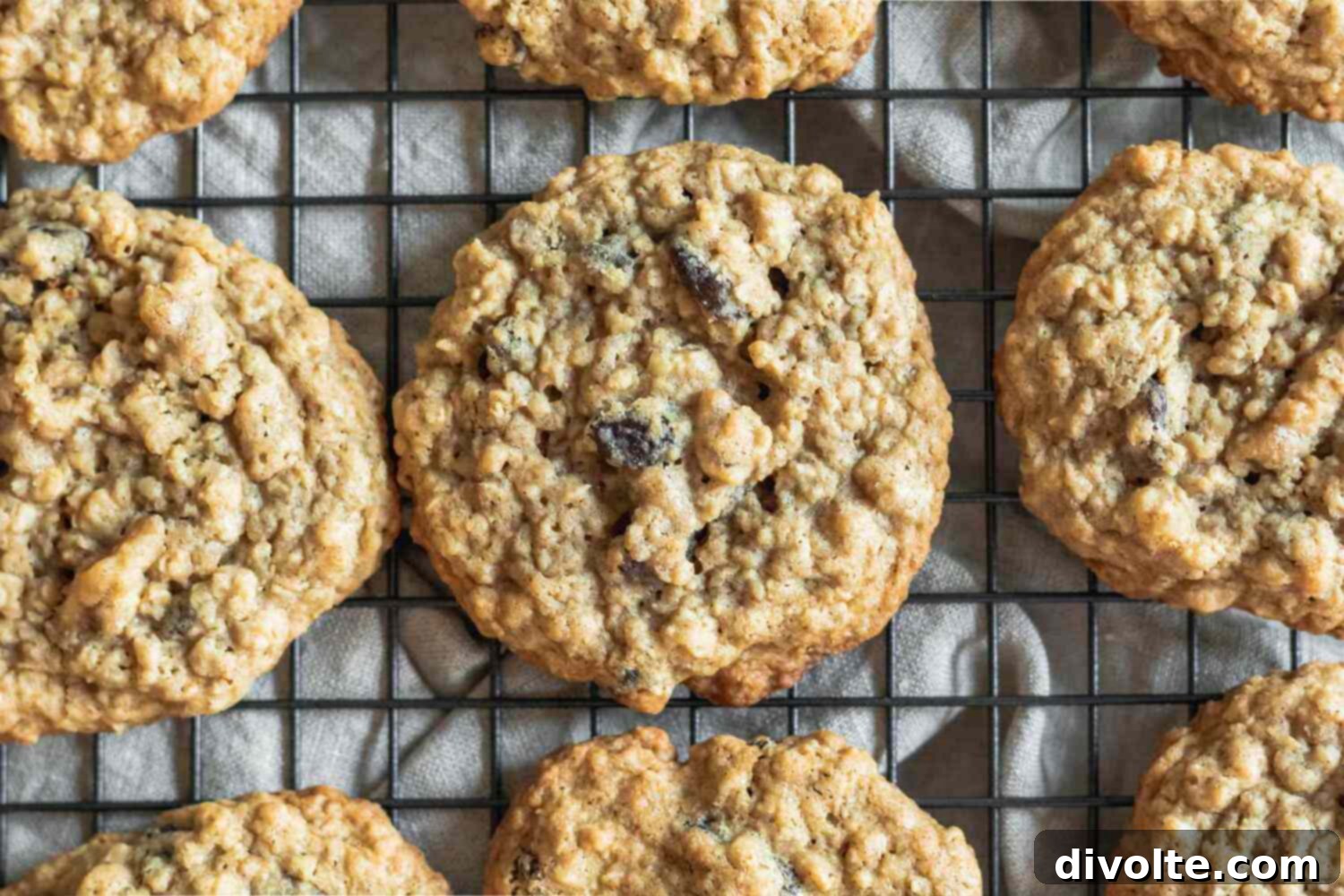 Soft & Chewy Oatmeal Raisin Cookies 3 Classic Oatmeal Raisin Cookies fresh from the oven