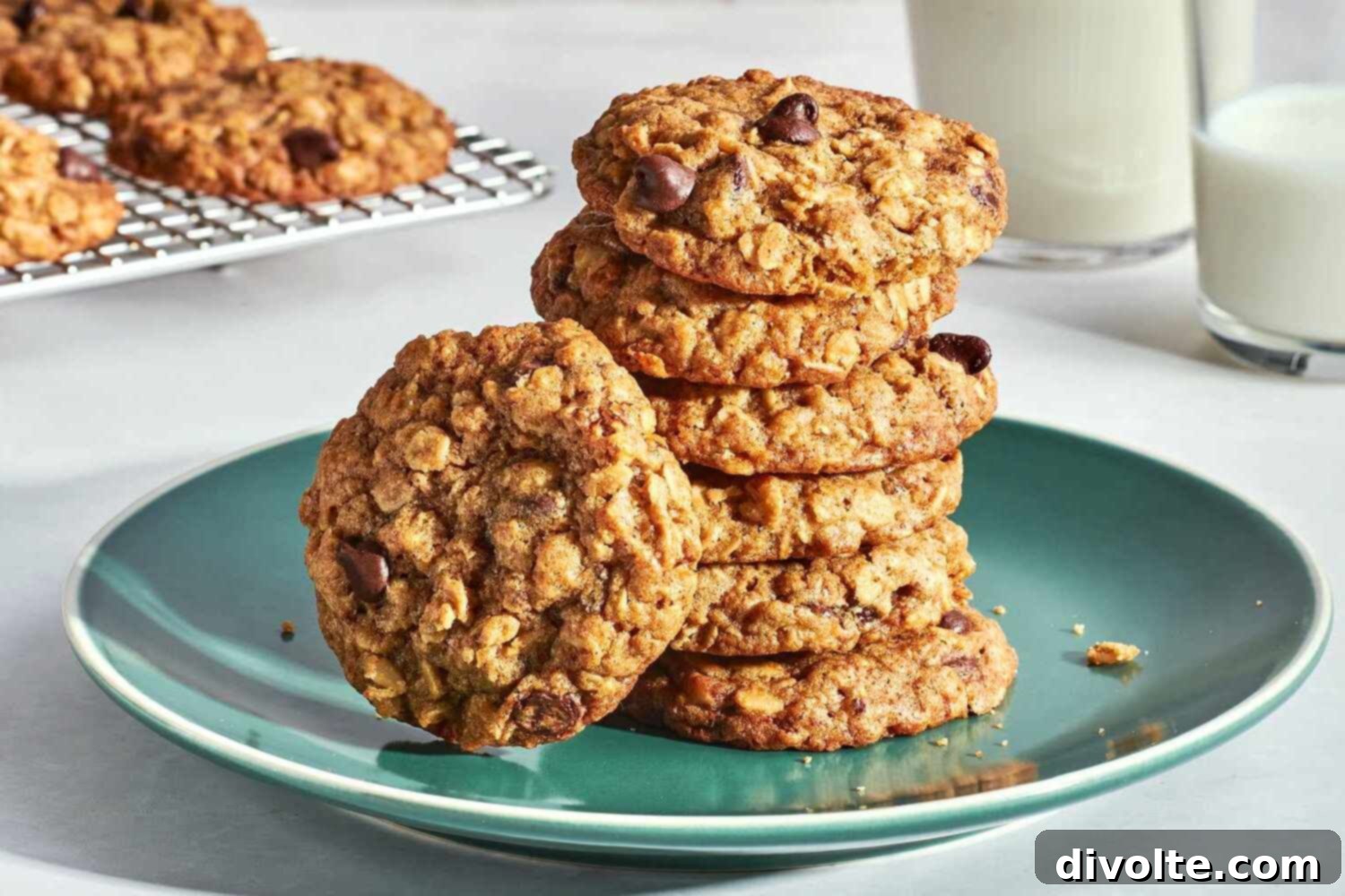 lactation-cookies-recipe