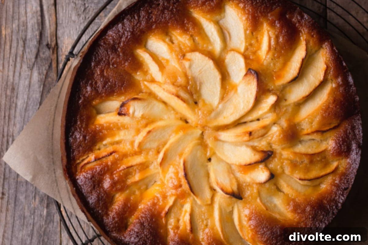 Grandma's German Apple Cake 2 german-apple-cake-recipe