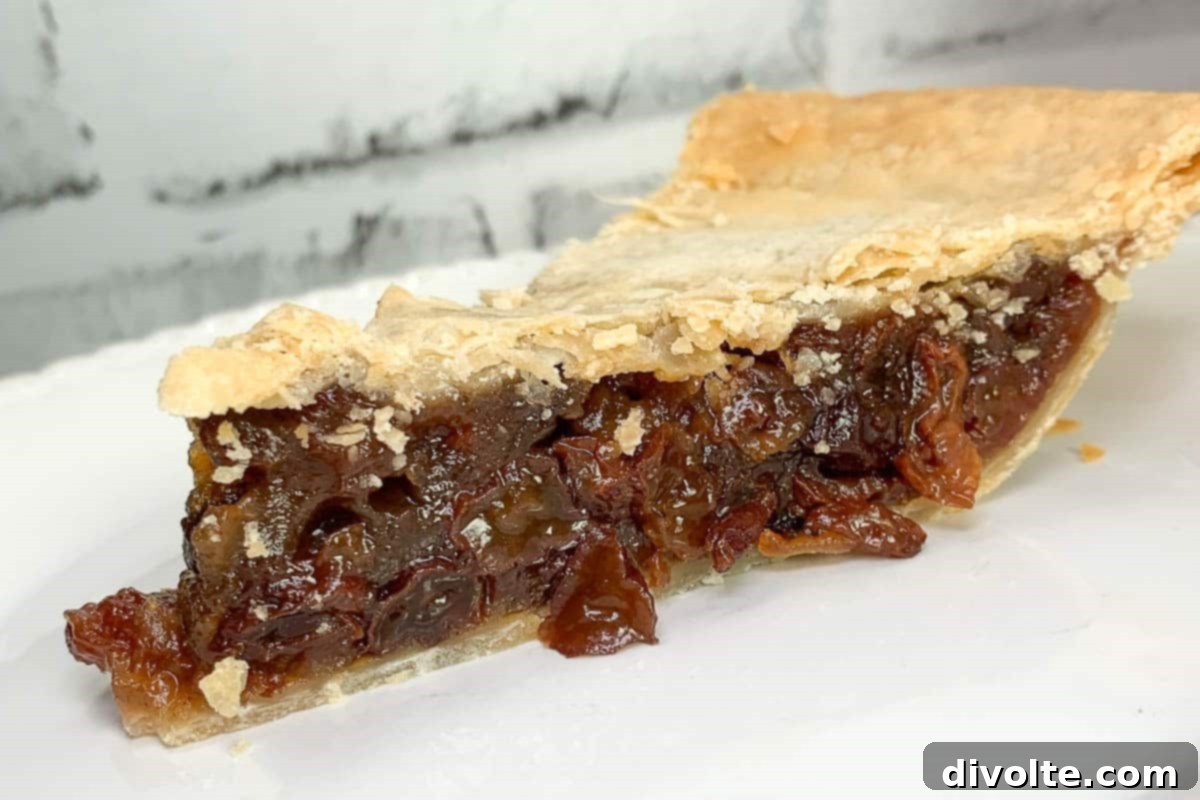 Vintage Spiced Raisin Pie 2 old-fashioned-raisin-pie-recipe
