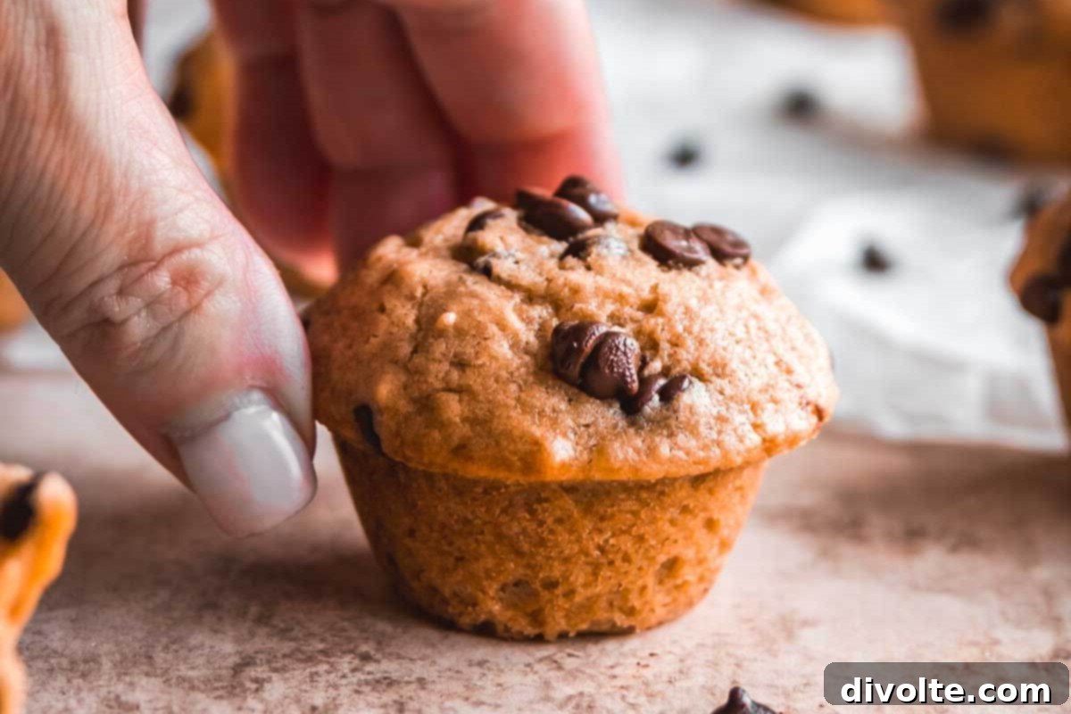 Easy Mini Chocolate Chip Muffins 3 chocolate-chip-mini-muffins-recipe