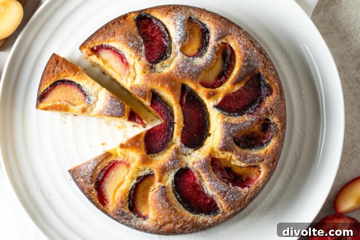 plum-cake-recipe