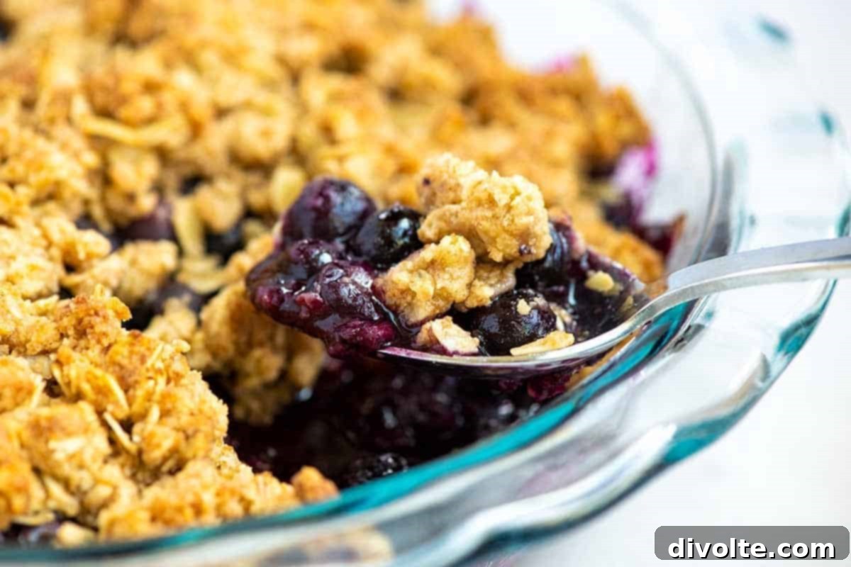 Classic Blueberry Crumble 2 blueberry-crumble-recipe