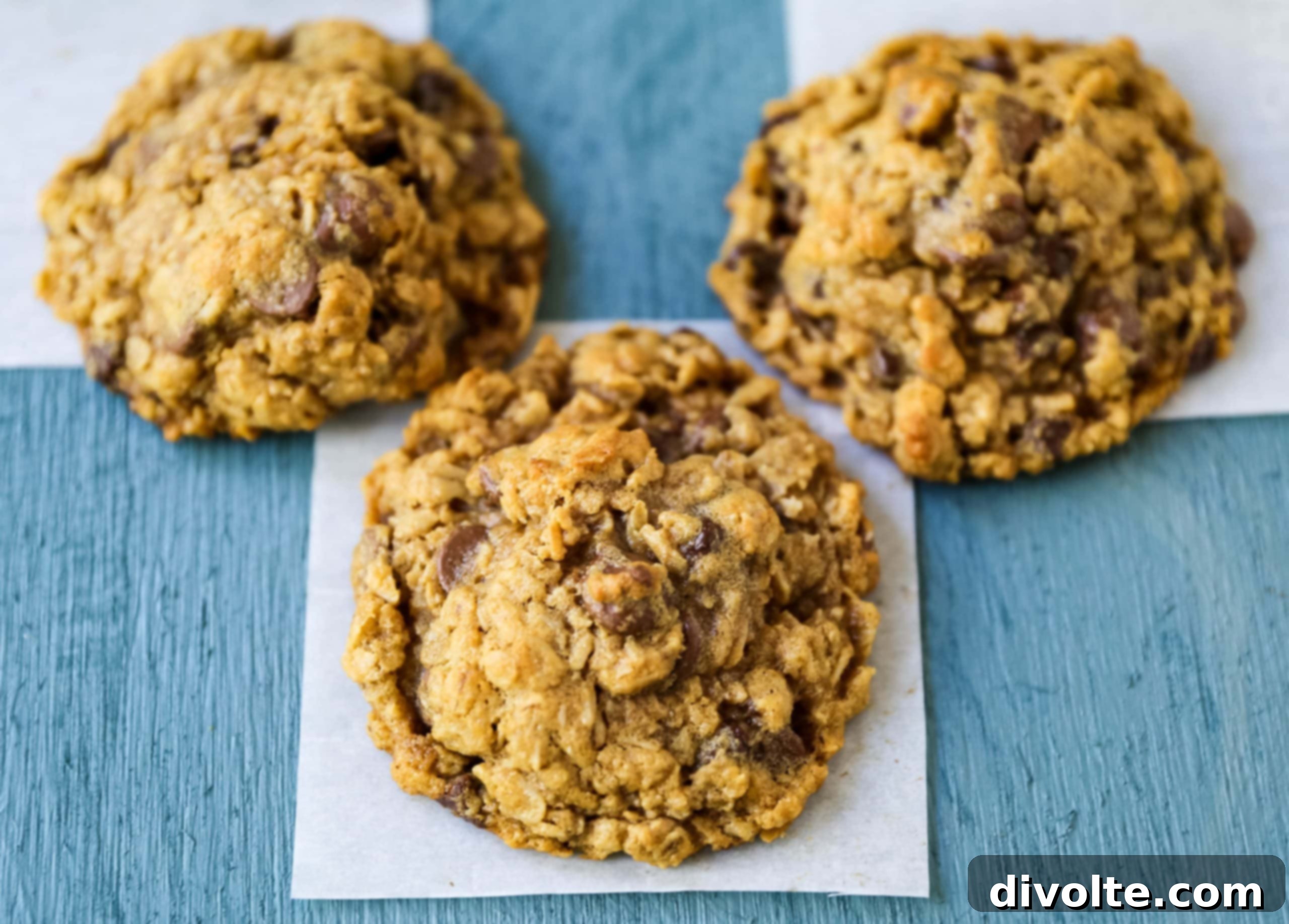 oatmeal-peanut-butter-cookies-recipe
