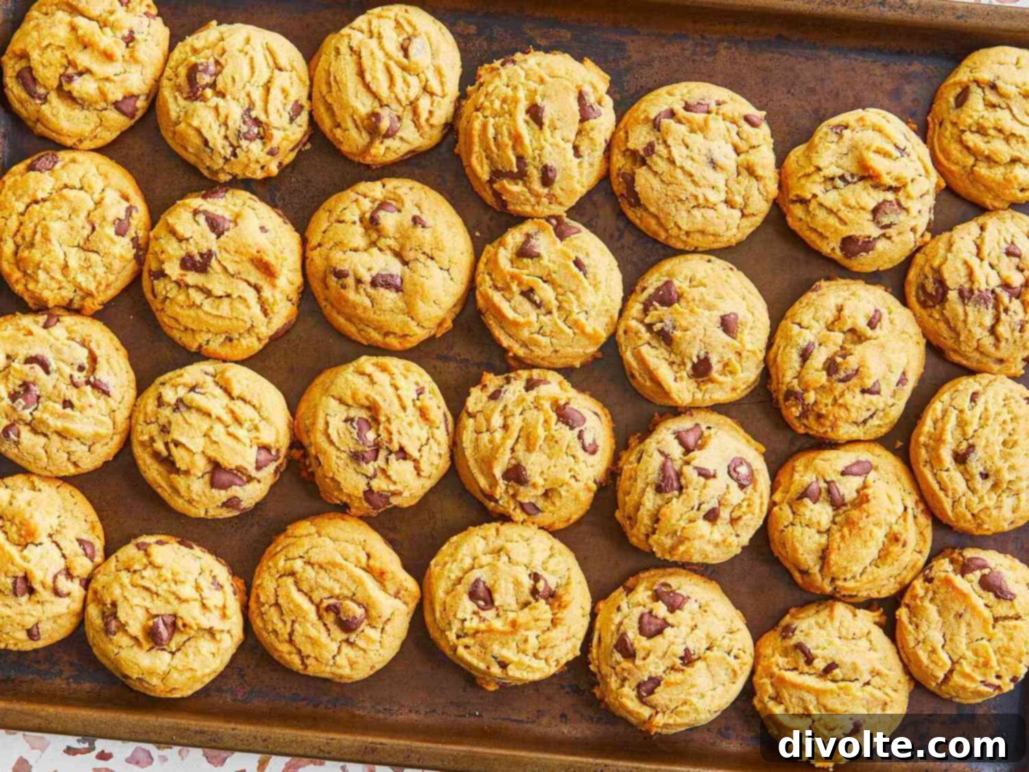 peanut-butter-chocolate-chip-cookies-recipe