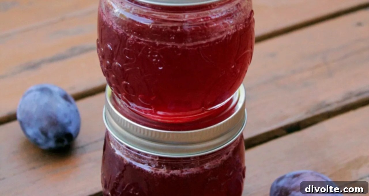 plum-jelly-recipe