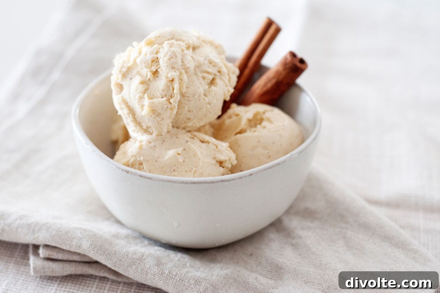 Homemade Cinnamon Ice Cream