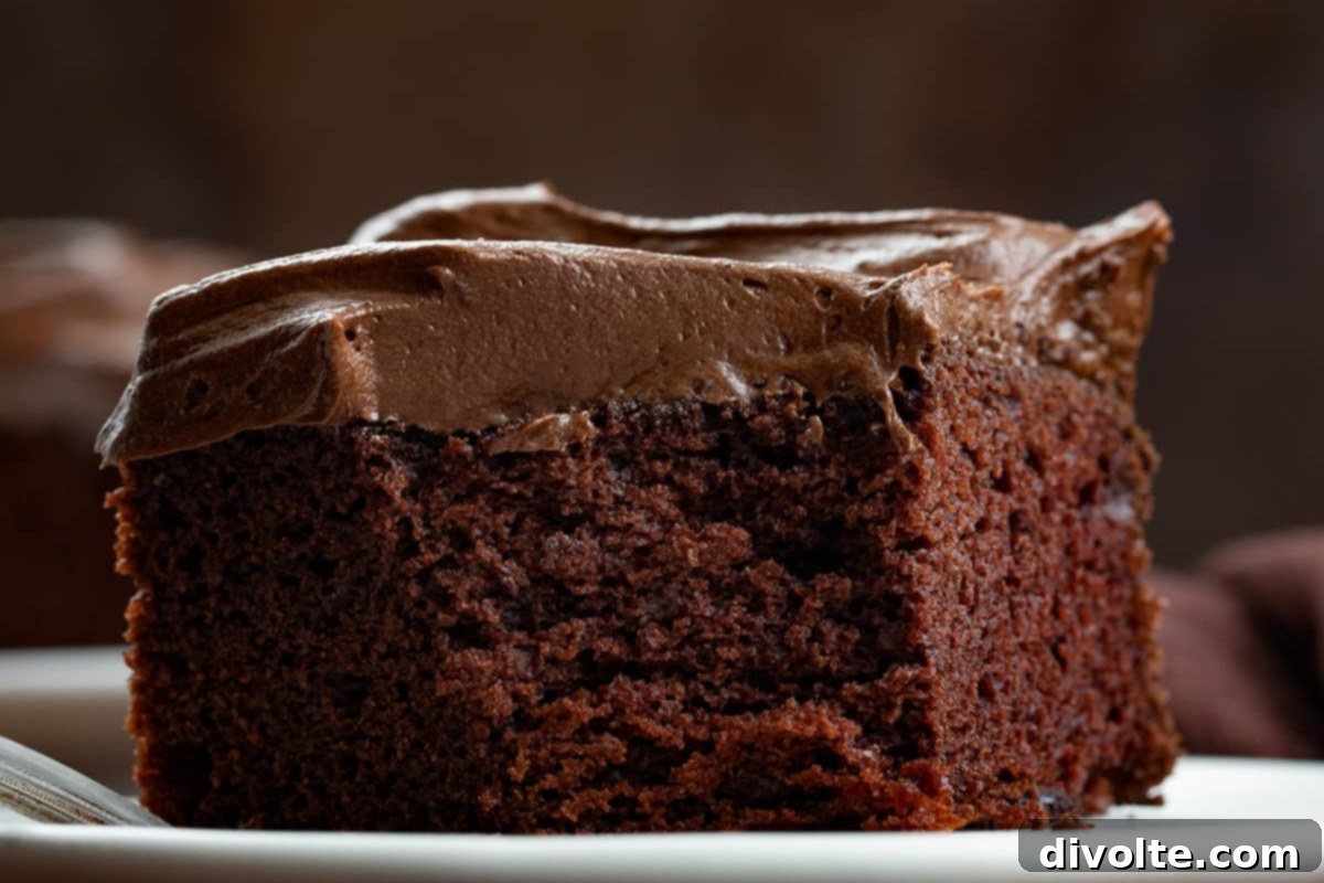 chocolate-mayo-cake-recipe