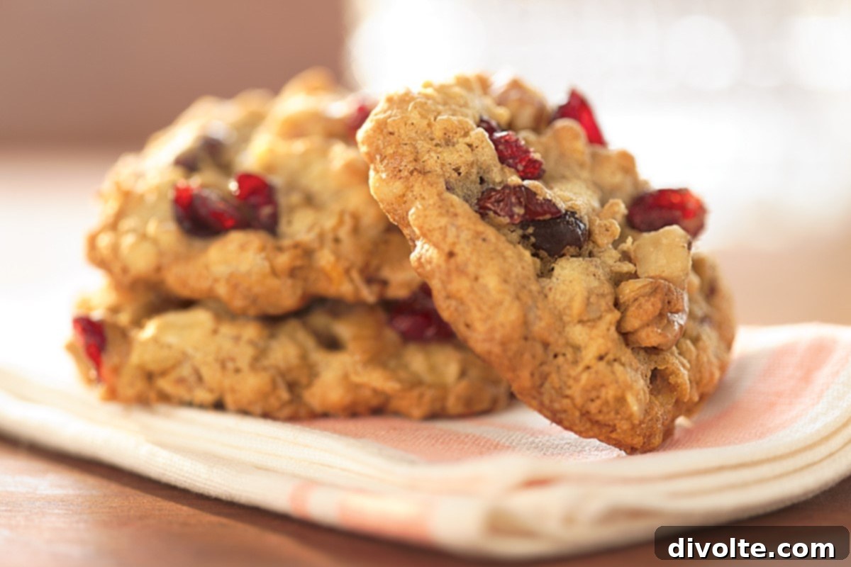 Irresistible Cranberry Nut Oatmeal Cookies 2 cranberry-nut-oatmeal-cookies-recipe