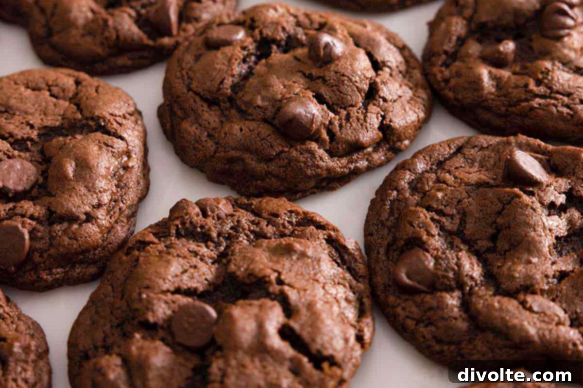 double-chocolate-chip-cookies-recipe