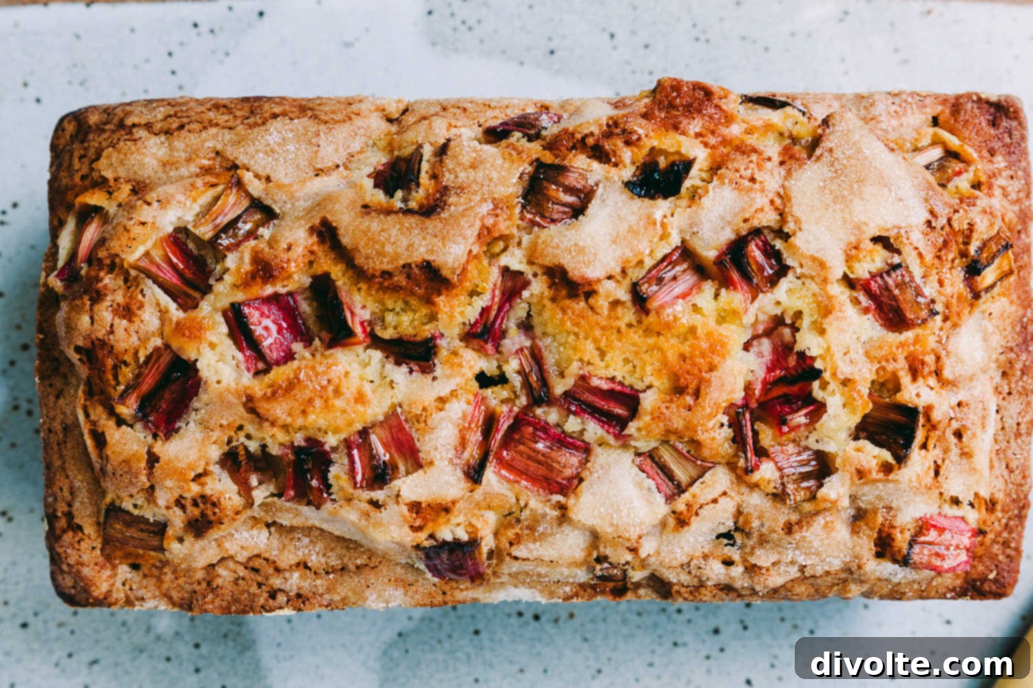 Sweet Rhubarb Berry Mini Loaves 2 rhubarb-berry-mini-loaves-recipe