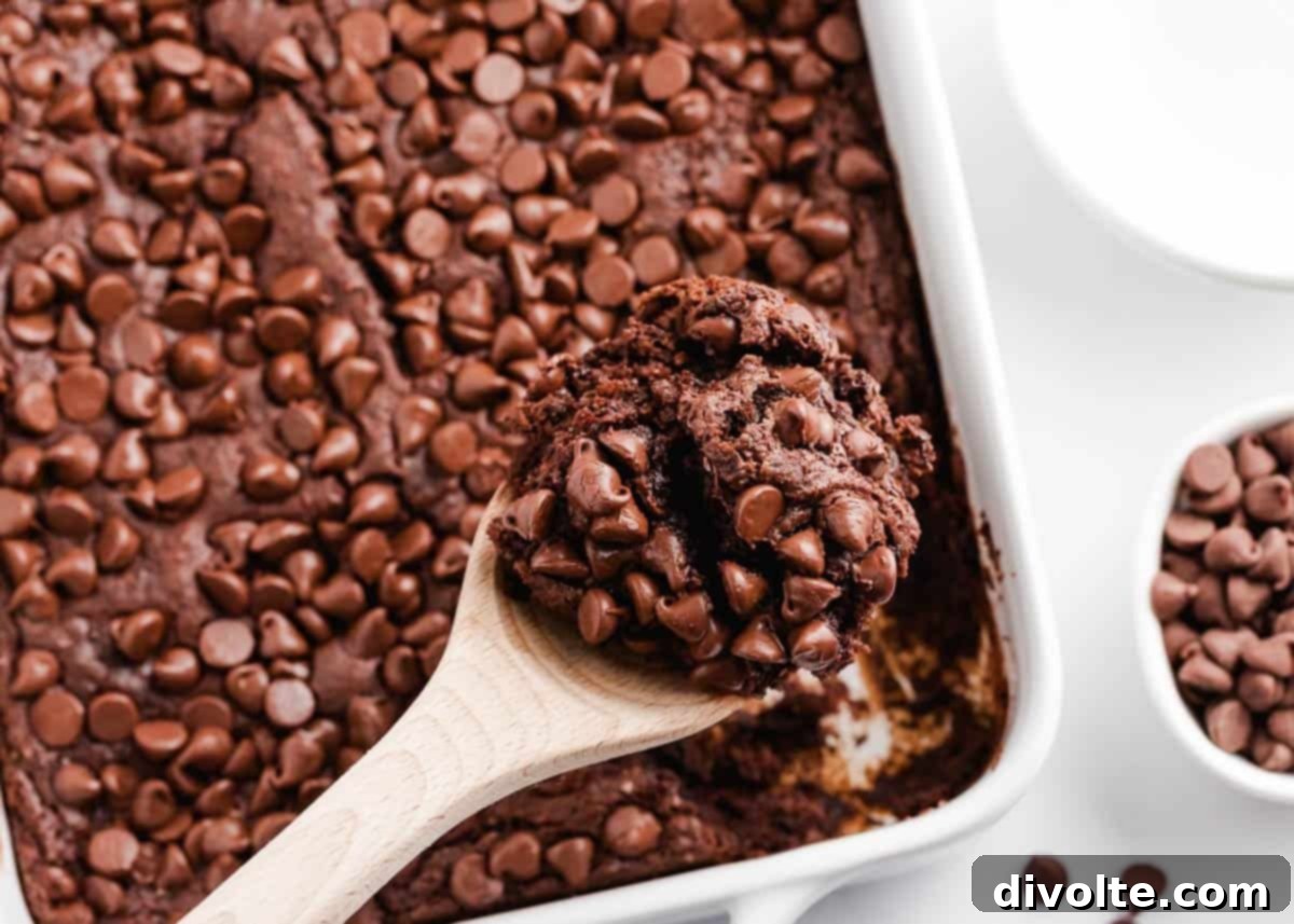 chocolate-dump-cake-recipe