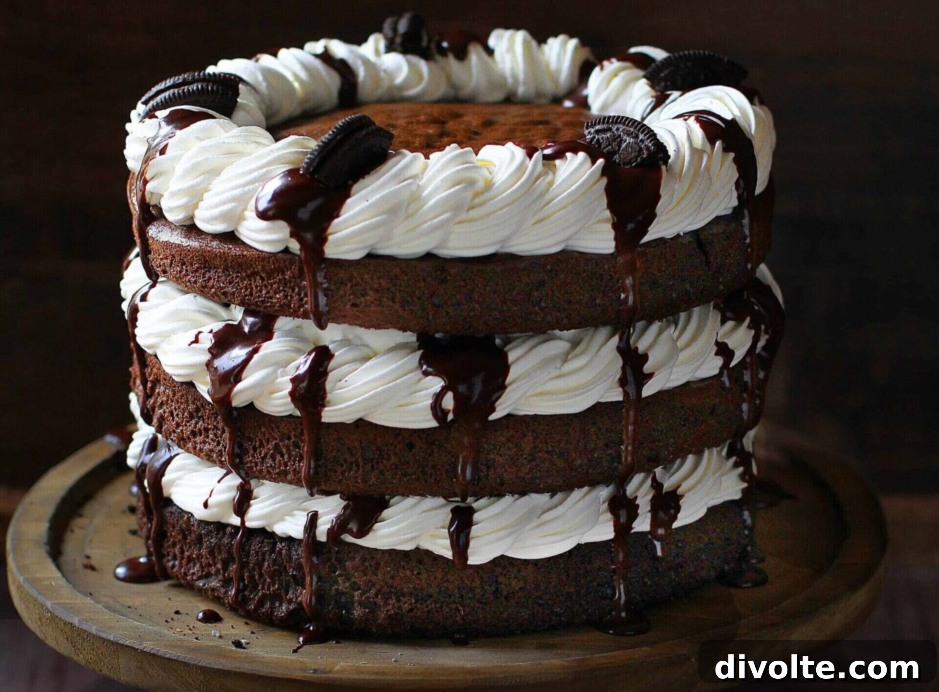 mississippi-mud-cake-recipe