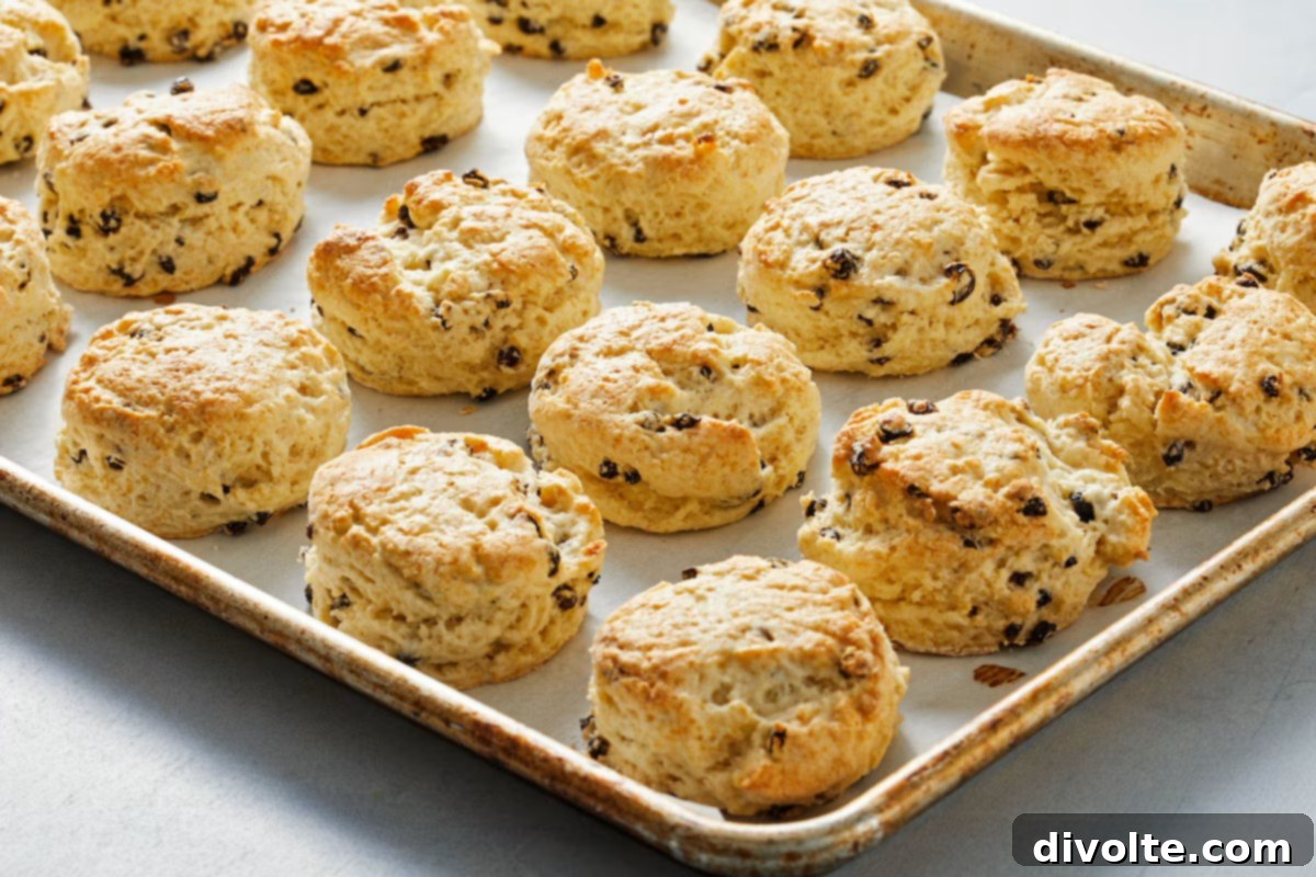 basic-british-scones-recipe