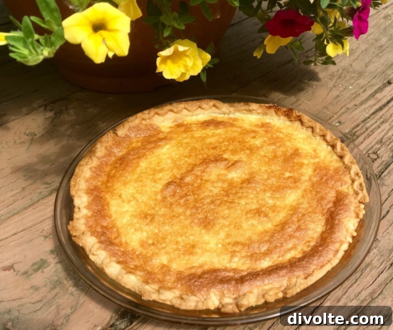lemon-sponge-pie-recipe