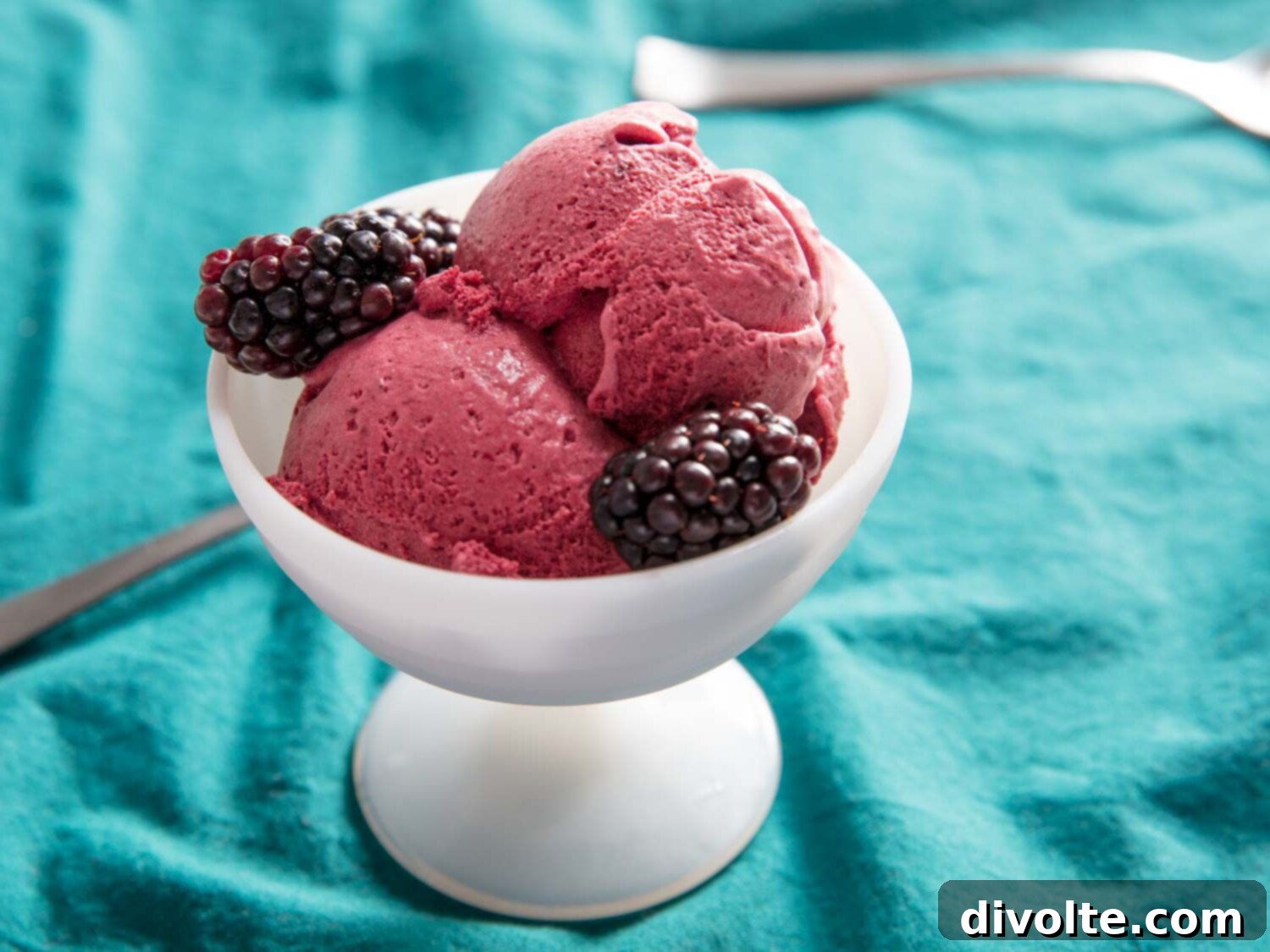 blackberry-ice-cream-recipe