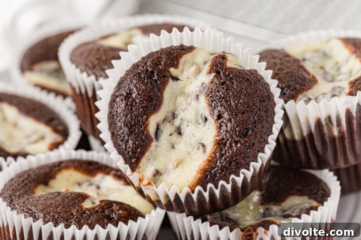 Rich Chocolate Cream Cheese Cupcakes 2 black-bottom-cupcakes-recipe