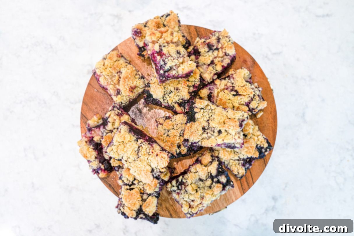 Homemade Blueberry Crumble Bars 2 blueberry-crumble-bars-recipe