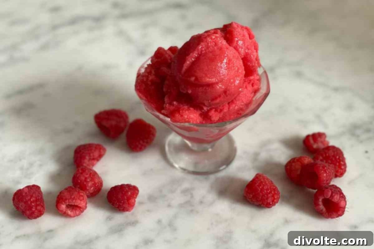 Summer Raspberry Chill: Sorbet or Granita 3 raspberry-sorbet-or-granita-recipe