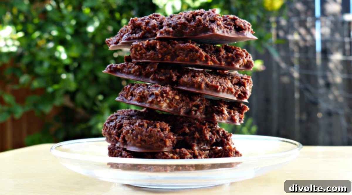 Quick and Easy Chocolate Coconut No-Bake Cookies 3 no-bake-chocolate-coconut-cookies-recipe