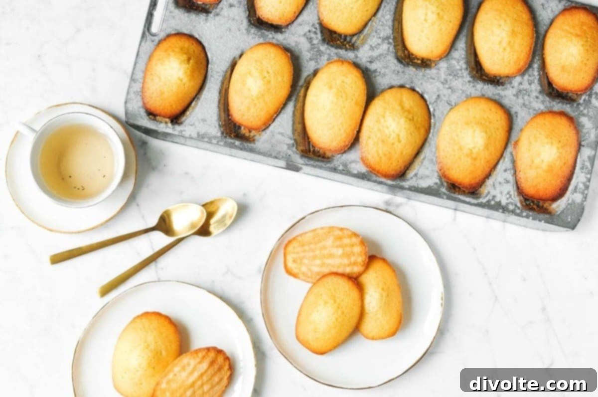 french-butter-cakes-recipe