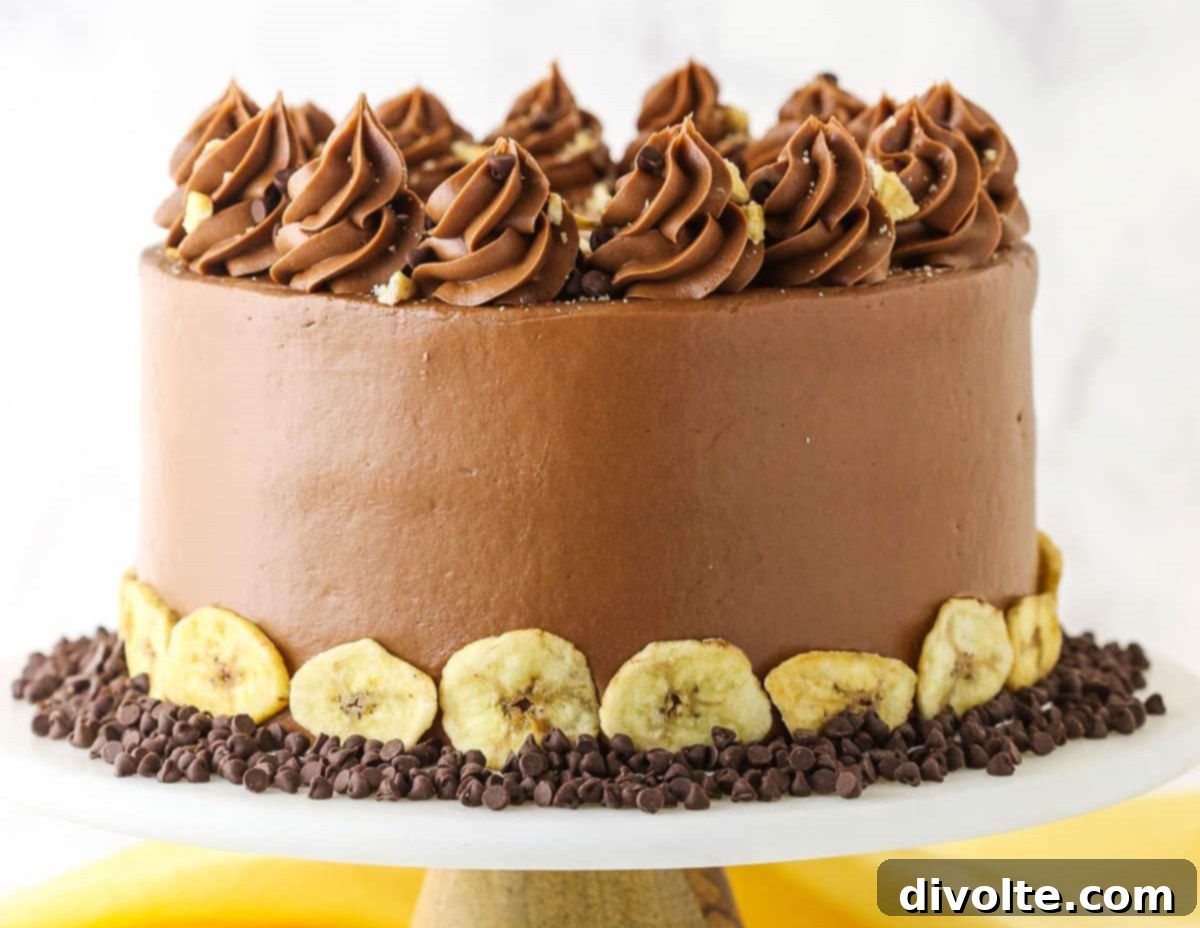 banana-chocolate-chip-cake-recipe