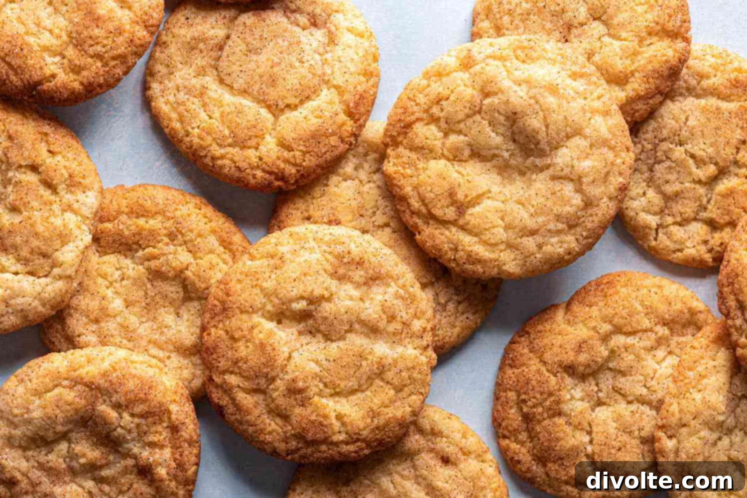 The Best Snickerdoodle Cookies 2 snickerdoodles-recipe